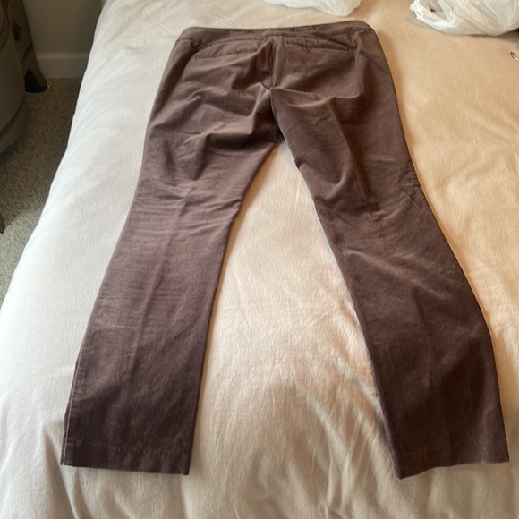 Loft velvet brown 6P Marisa Skinny Pant - Picture 4 of 5